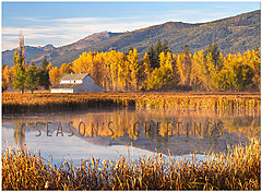 Rural Reflections Thanksgiving Card H9091U-AA